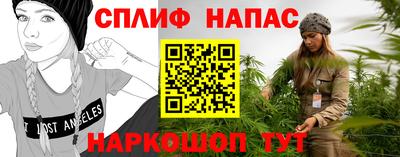 прущие грибы Лесосибирск