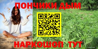прущие грибы Лесосибирск