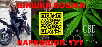 прущие грибы Лесосибирск