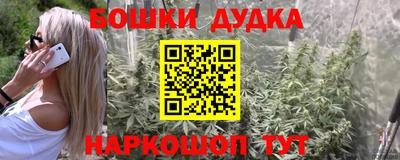 прущие грибы Лесосибирск