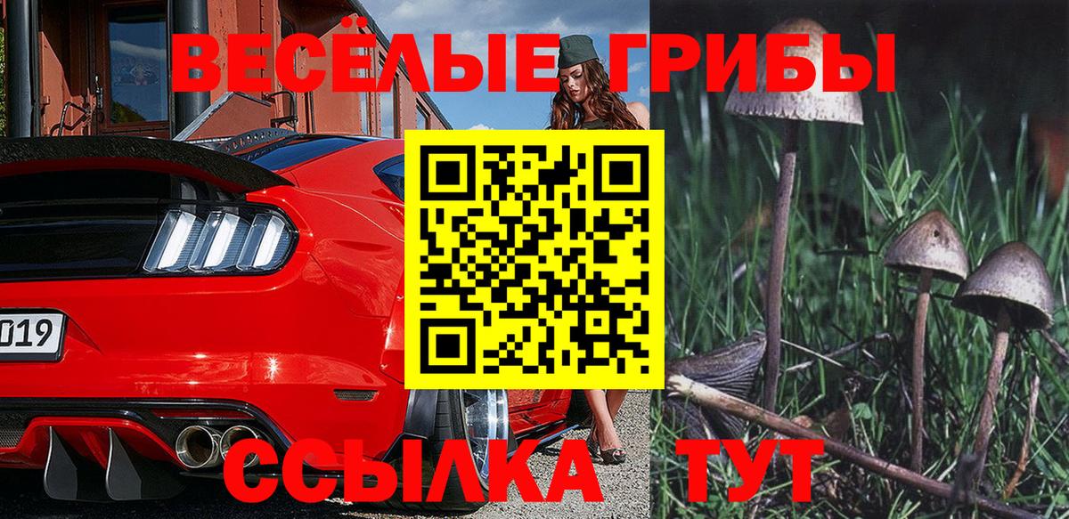 Алапаевск  Галлюциногенные грибы Psilocybine cubensis  Вход с VPN  Галлюциногенные грибы мухоморы 